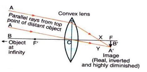 Lakhmir-Singh-Physics-Class-10-Solutions-Chapter-5-Refraction-Of-light-Q-24-Page-240