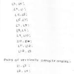 RD Sharma Class 7 Solutions 14.Lines and angles Ex-14.1 Q 13