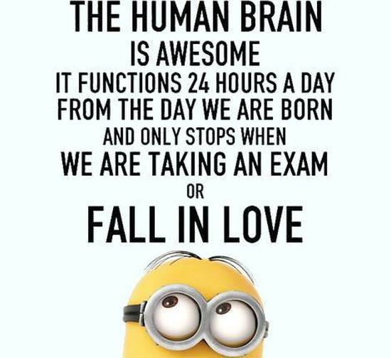 best-exam-quotes-Minions-Quotes-and-picture