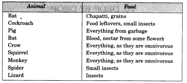NCERT Solutions for Class 3 EVS Our Friends-Animal Q14.1