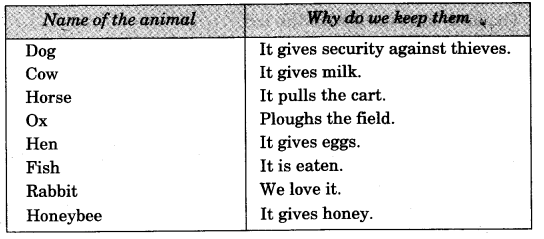 NCERT Solutions for Class 3 EVS Our Friends-Animal Q8.2