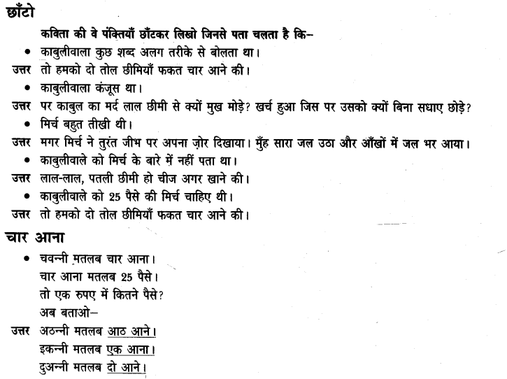 NCERT Solutions for Class 3 Hindi Chapter-13 मिर्च का मज़ा 3
