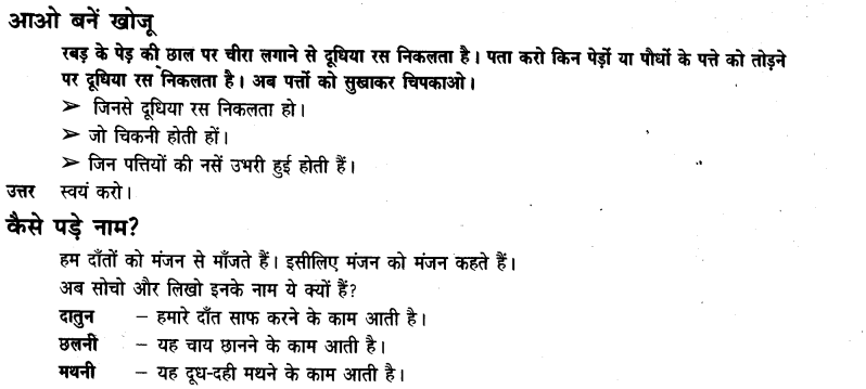 NCERT Solutions for Class 3 Hindi Chapter-14 सबसे अच्छा पेड़ 4