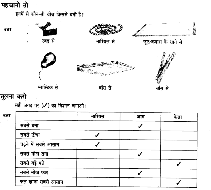 NCERT Solutions for Class 3 Hindi Chapter-14 सबसे अच्छा पेड़ 5