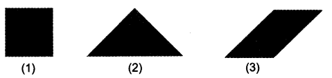 NCERT Solutions for Class 3 Mathematics Chapter-5 Shapes and Designs Tangram 2