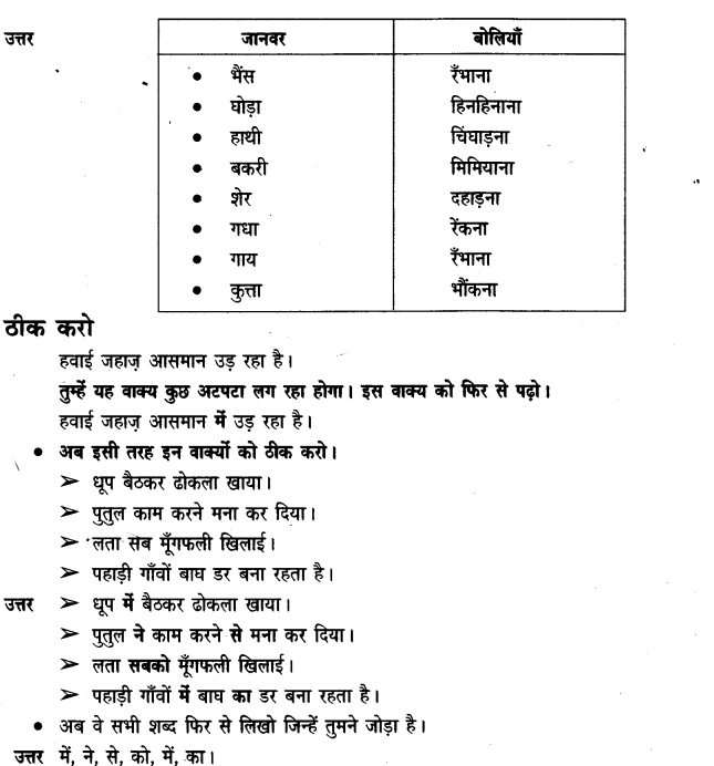 NCERT Solutions for class 3 Hindi Chapter-11 मीरा बहन और बाघ 6