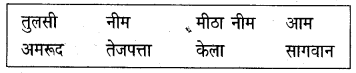 NCERT Solutions for Class 5 Hindi Chapter 15 बिशन की दिलेरी 1
