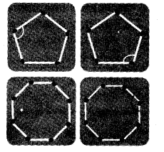 NCERT Solutions for Class 5 Maths Chapter 2 Shapes And Angles Page 17 Q1.1