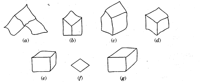 NCERT Solutions for Class 5 Maths Chapter 9 Boxes And Sketches Page 130 Q3