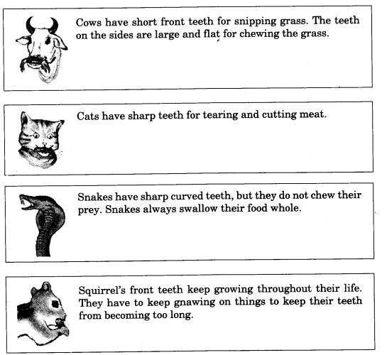 NCERT Solutions for Class 4 EVS Chapter 16 A Busy Month Page 134 Q1.1