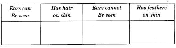 NCERT Solutions for Class 4 EVS Chapter 2 Ear To Ear Page 13 Q2