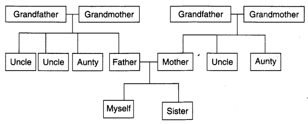 NCERT Solutions for Class 4 EVS Chapter 9 Changing Families Page 74 Q6