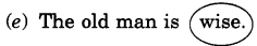 NCERT Solutions for Class 4 English Unit-2 Chapter 4 The Little Fir Tree Word Building Q1.4