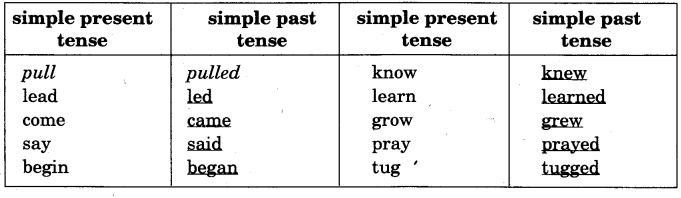 NCERT Solutions for Class 4 English Unit-6 Chapter 12 Lets Write Q1