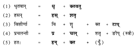 NCERT Solutions for Class 10 Sanskrit Shemushi Chapter 10 भूकंपविभीषिका 6