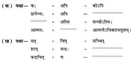 NCERT Solutions for Class 10 Sanskrit Shemushi Chapter 11 प्राणेभ्योऽपि प्रियः सुह्रद् 1