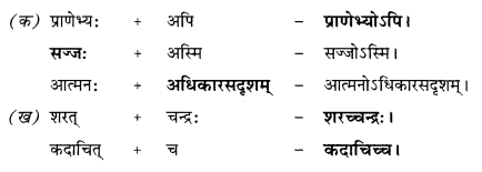 NCERT Solutions for Class 10 Sanskrit Shemushi Chapter 11 प्राणेभ्योऽपि प्रियः सुह्रद् 2