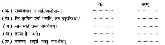 NCERT Solutions for Class 10 Sanskrit Shemushi Chapter 4 शिशुलालनम् 2
