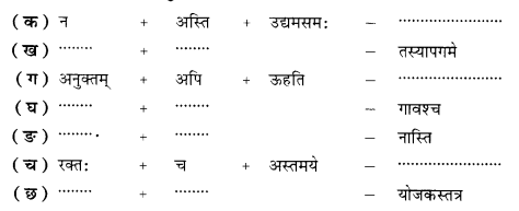 NCERT Solutions for Class 10 Sanskrit Shemushi Chapter 6 सुभाषितानि 1
