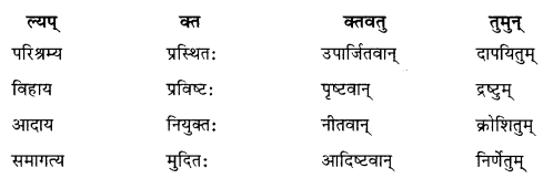 NCERT Solutions for Class 10 Sanskrit Shemushi Chapter 8 विचित्रः साक्षी 3