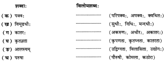 NCERT Solutions for Class 10 Sanskrit Shemushi Chapter 9 सूक्तयः 1