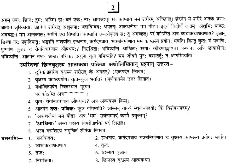 NCERT Solutions for Class 10th Sanskrit Chapter 1 अपठित -अवबोधनम 4