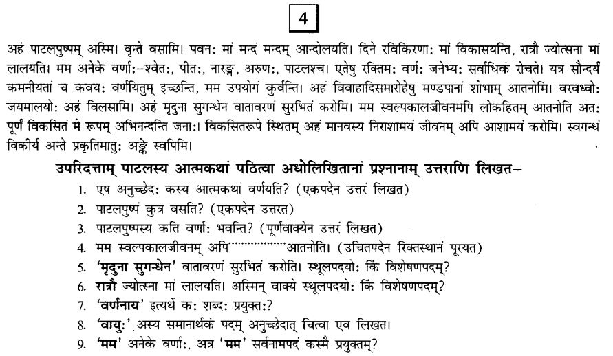 NCERT Solutions for Class 10th Sanskrit Chapter 1 अपठित -अवबोधनम 7