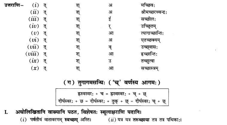NCERT Solutions for Class 10th Sanskrit Chapter 1 सन्धि 16