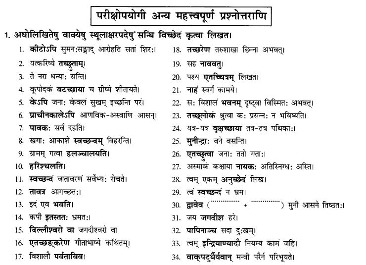 NCERT Solutions for Class 10th Sanskrit Chapter 1 सन्धि 33