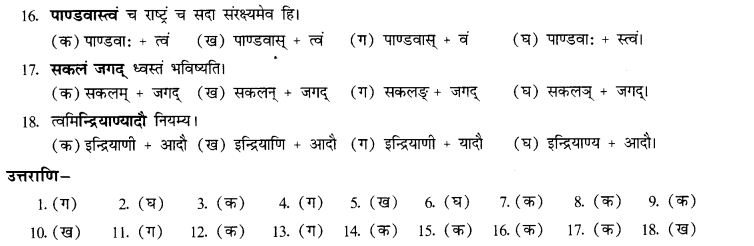 NCERT Solutions for Class 10th Sanskrit Chapter 1 सन्धि 41
