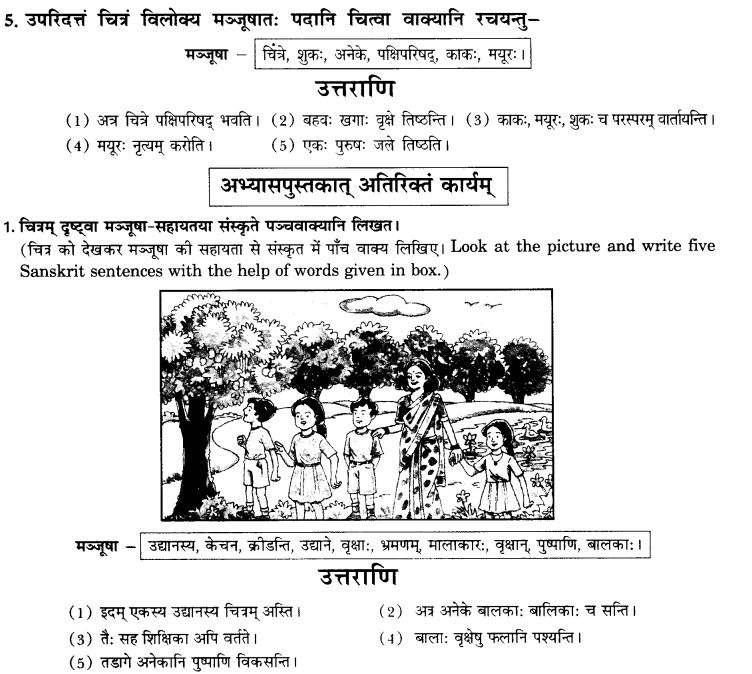 Class 10 Sanskrit Grammar Book Solutions चित्राधारितम् वर्णनम्