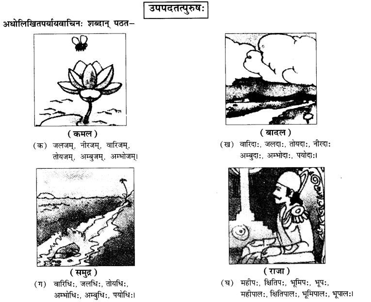 NCERT Solutions for Class 10th Sanskrit Chapter 3 Samasah 10