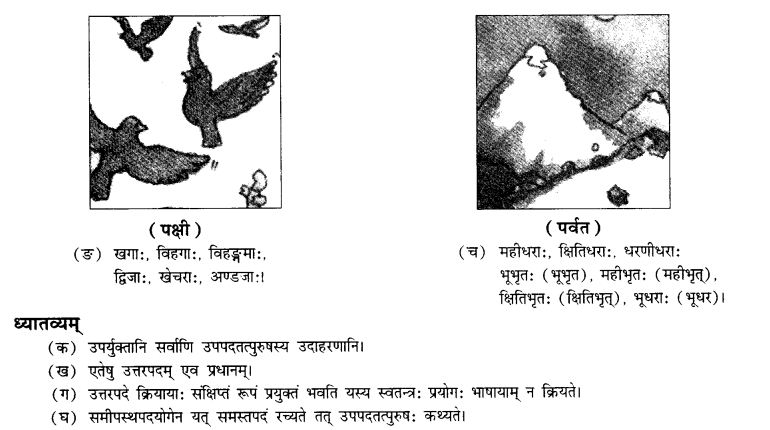 NCERT Solutions for Class 10th Sanskrit Chapter 3 Samasah 11