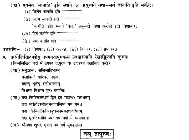 NCERT Solutions for Class 10th Sanskrit Chapter 3 Samasah 13