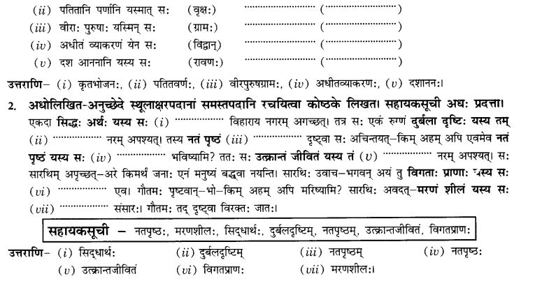 NCERT Solutions for Class 10th Sanskrit Chapter 3 Samasah 24