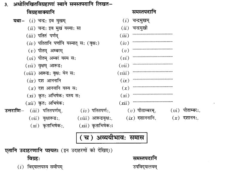 NCERT Solutions for Class 10th Sanskrit Chapter 3 Samasah 25