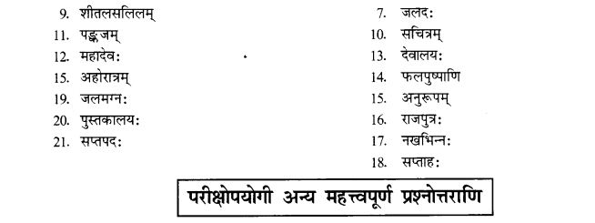 NCERT Solutions for Class 10th Sanskrit Chapter 3 Samasah 30