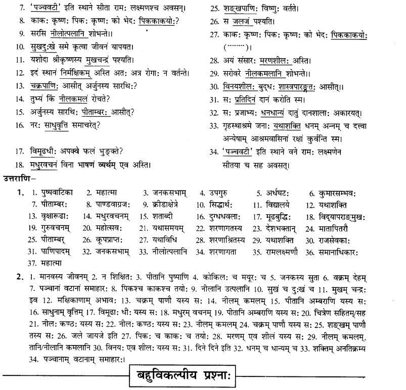NCERT Solutions for Class 10th Sanskrit Chapter 3 Samasah 32