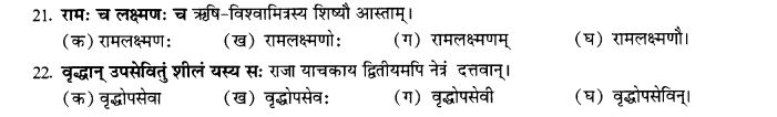 NCERT Solutions for Class 10th Sanskrit Chapter 3 Samasah 41