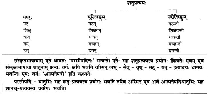 NCERT Solutions for Class 10th Sanskrit Chapter 4 Pratyayah 10