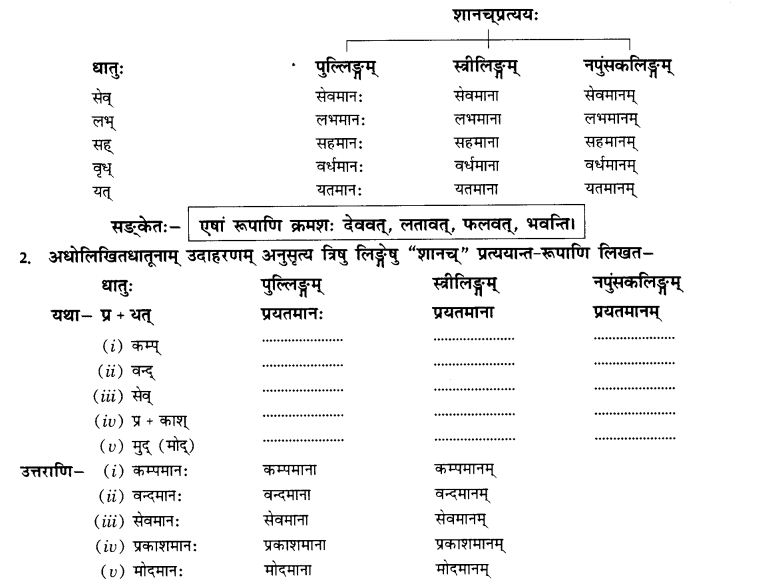 NCERT Solutions for Class 10th Sanskrit Chapter 4 Pratyayah 11