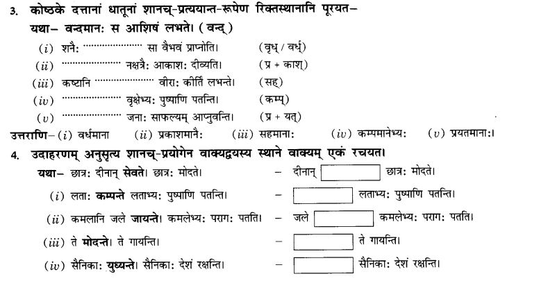 NCERT Solutions for Class 10th Sanskrit Chapter 4 Pratyayah 12