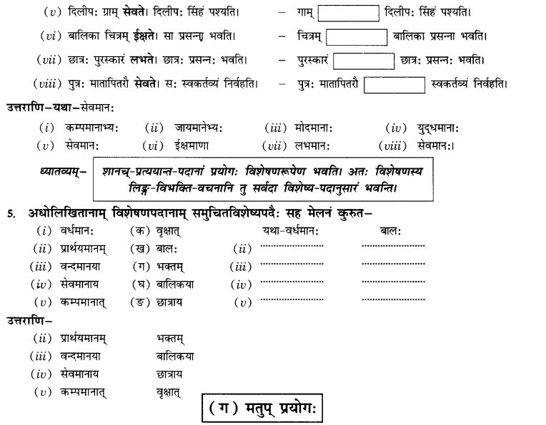 NCERT Solutions for Class 10th Sanskrit Chapter 4 Pratyayah 14