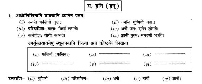 NCERT Solutions for Class 10th Sanskrit Chapter 4 Pratyayah 19