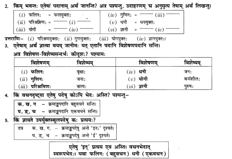 NCERT Solutions for Class 10th Sanskrit Chapter 4 Pratyayah 20