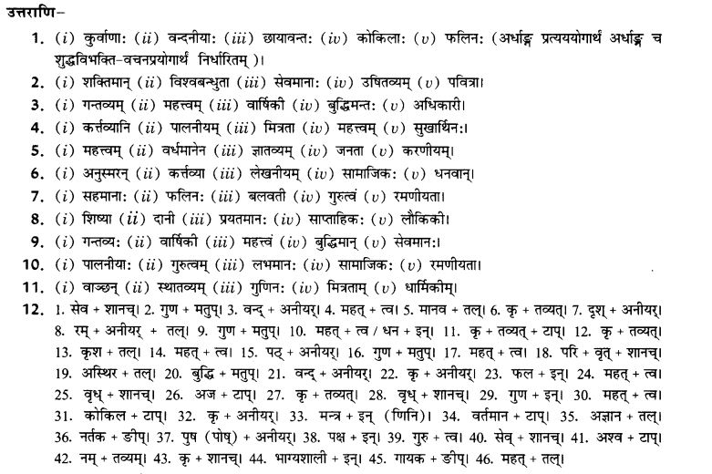 NCERT Solutions for Class 10th Sanskrit Chapter 4 Pratyayah 49
