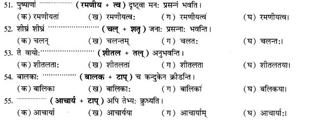 NCERT Solutions for Class 10th Sanskrit Chapter 4 Pratyayah 63