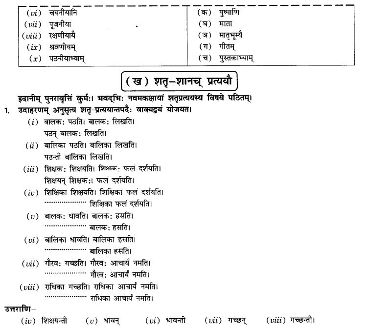 NCERT Solutions for Class 10th Sanskrit Chapter 4 Pratyayah 9