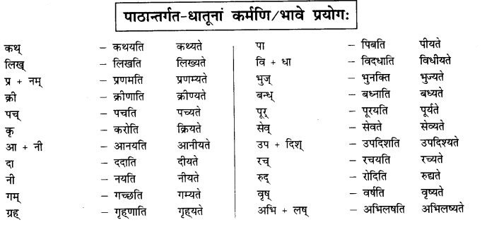 NCERT Solutions for Class 10th Sanskrit Chapter 5 वाच्यम् 16