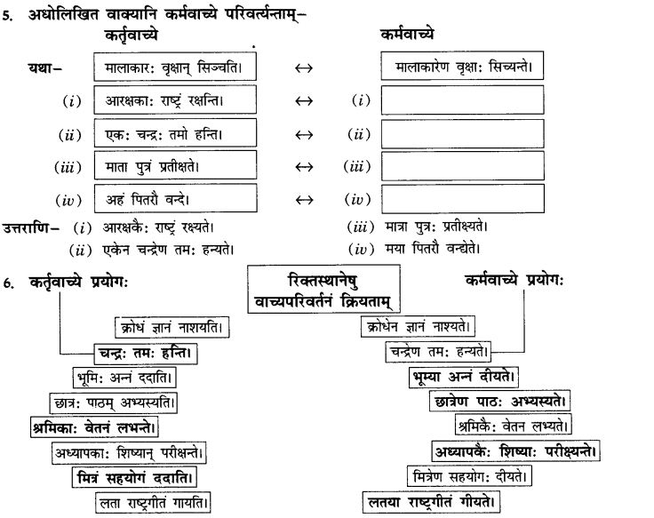 NCERT Solutions for Class 10th Sanskrit Chapter 5 वाच्यम् 7